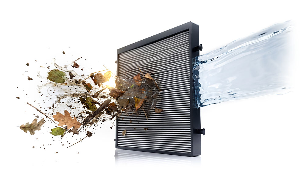Dolphin Quantum Cleaning MaxBin